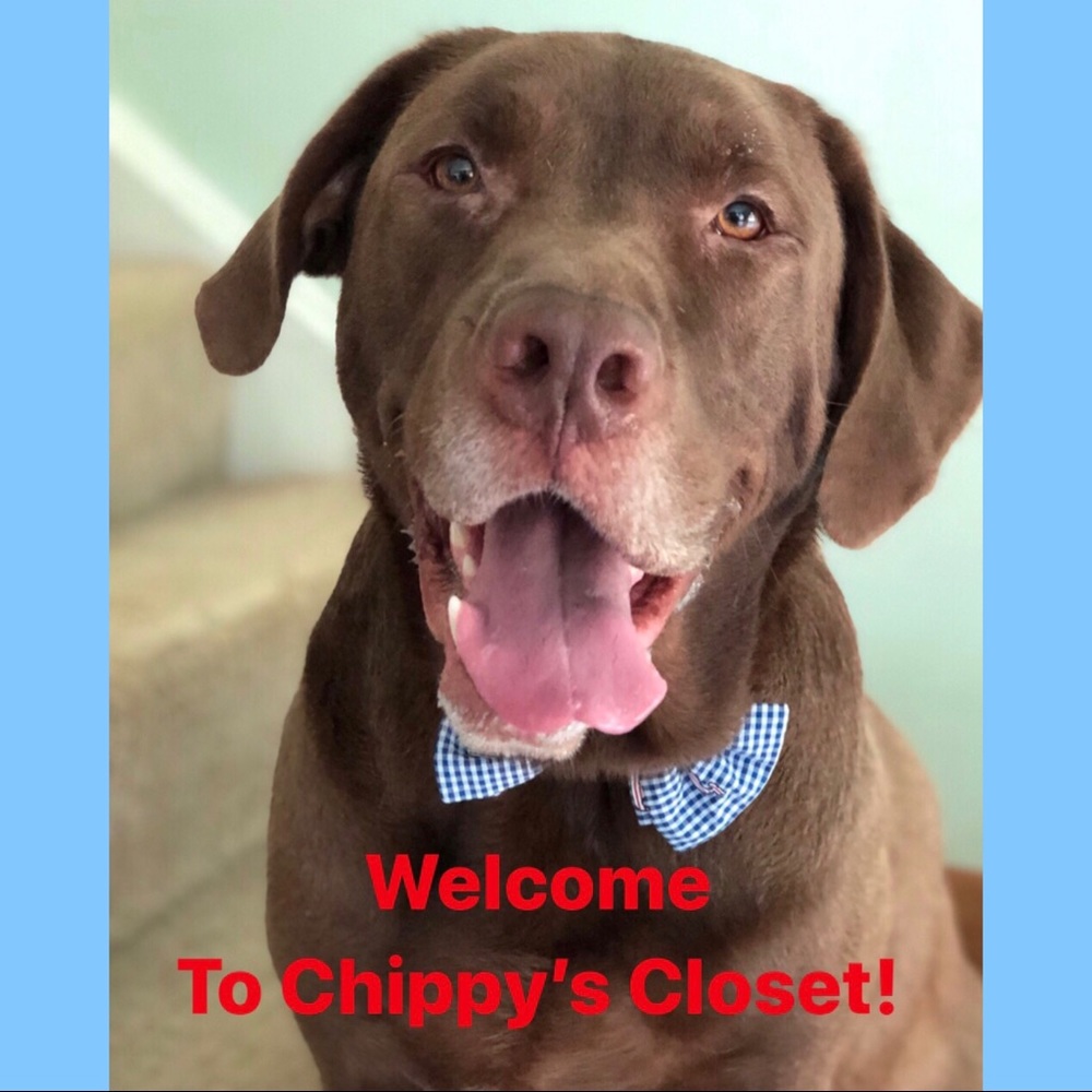 Meet your Posher, Chippy